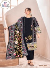 Elegant Pakistani Suit with Intricate Embroidery